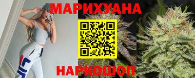 индика Моздок