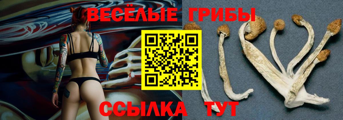Псилоцибиновые грибы прущие грибы Усолье-Сибирское