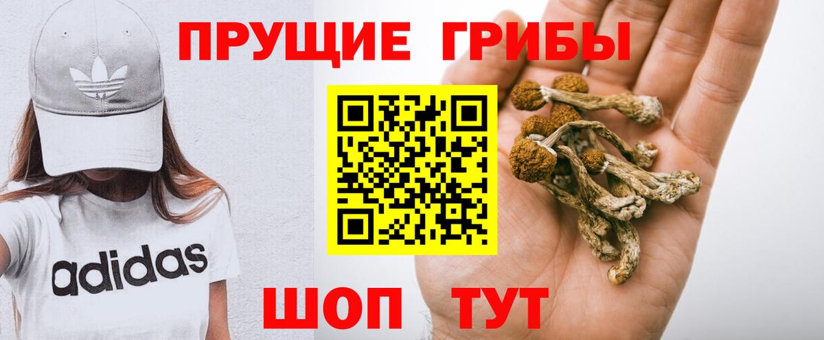 Псилоцибиновые грибы мухоморы  Псилоцибиновые грибы GOLDEN TEACHER  Усолье-Сибирское  Вход с VPN 