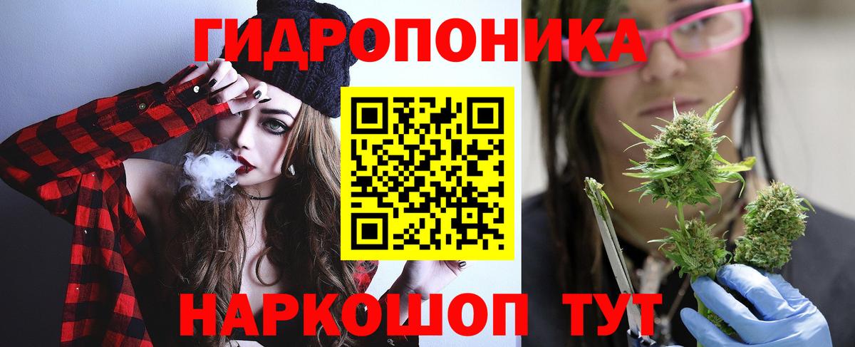 Шишки марихуана конопля  Шишки марихуана OG Kush  Бошки Шишки план  Вход с VPN  Каннабис SATIVA & INDICA  Усолье-Сибирское 